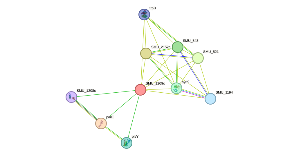 STRING protein interaction network