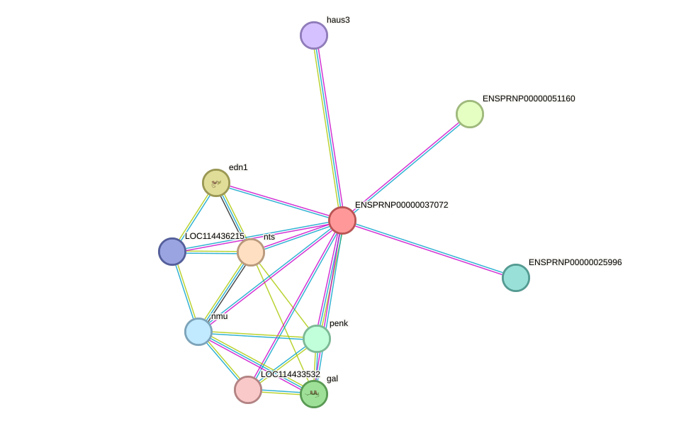 STRING protein interaction network