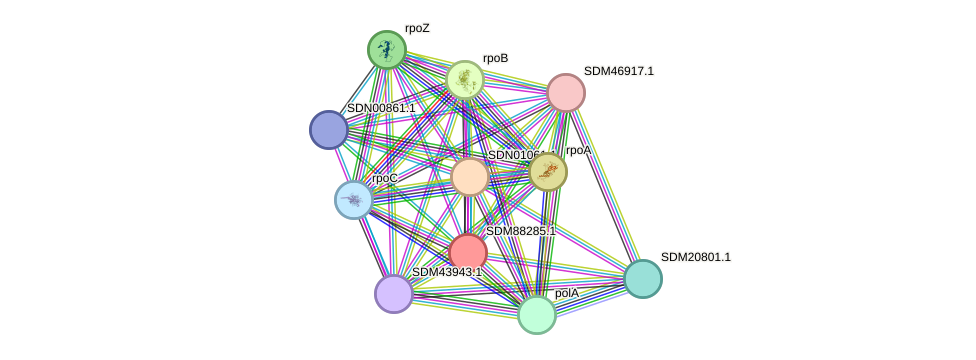 STRING protein interaction network