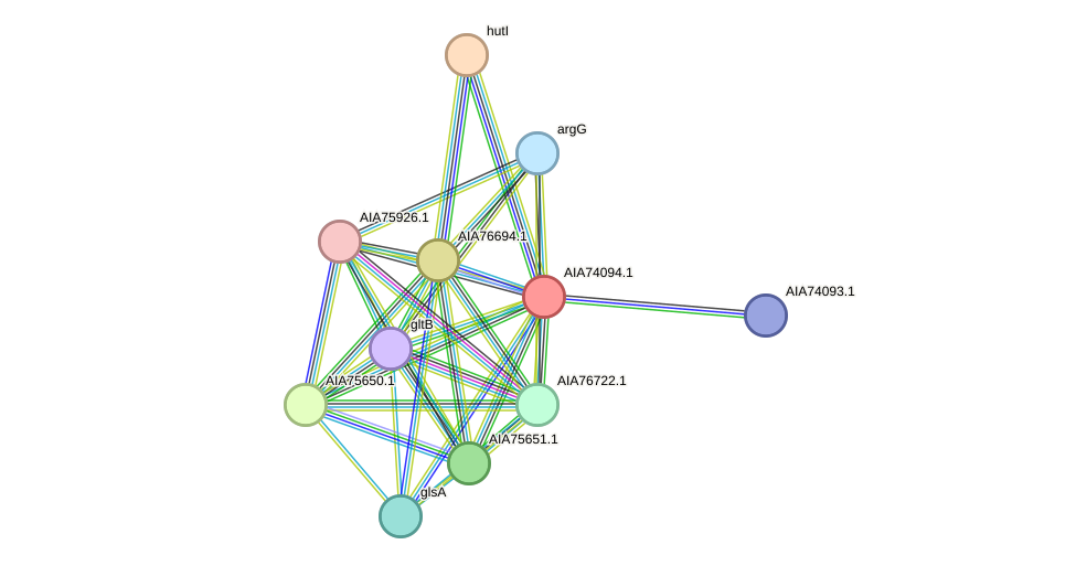 STRING protein interaction network