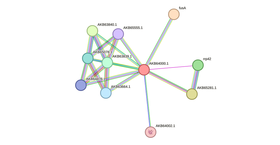 STRING protein interaction network