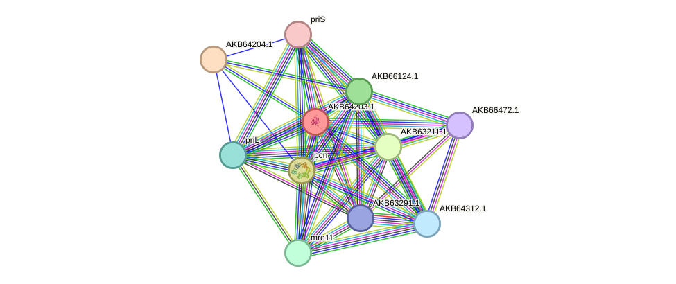 STRING protein interaction network