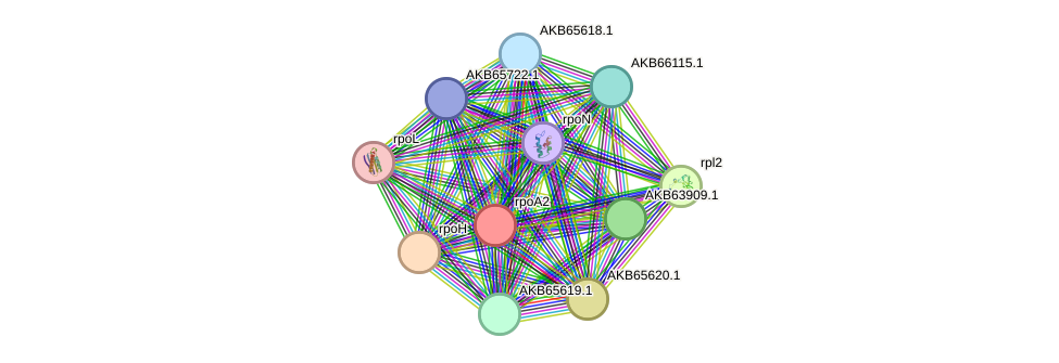 STRING protein interaction network