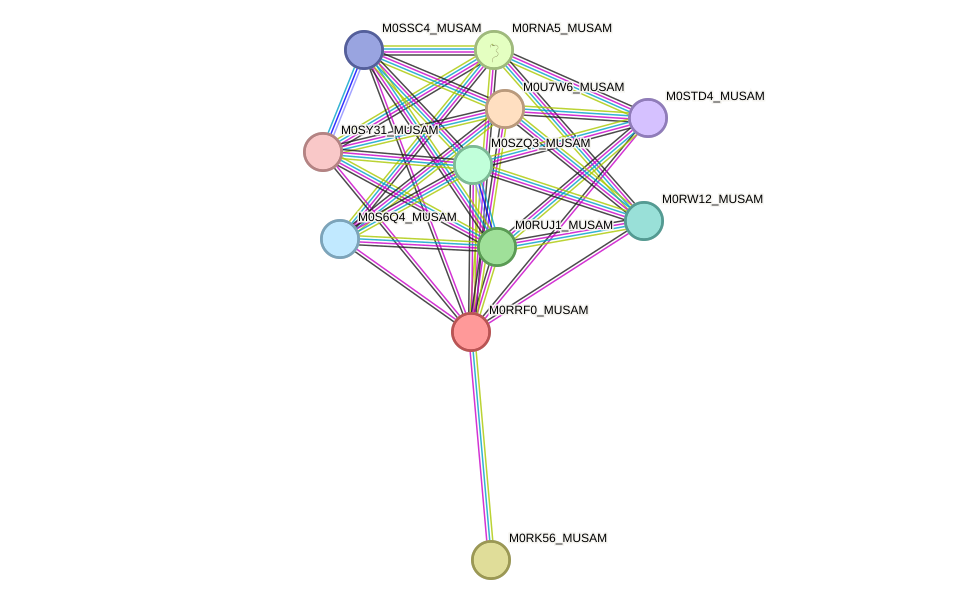 STRING protein interaction network