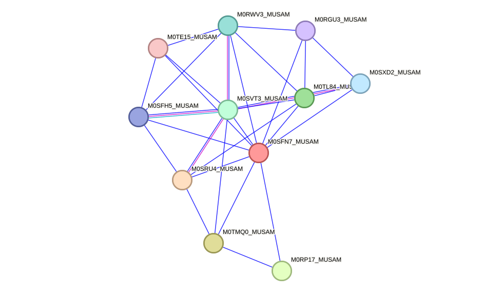 STRING protein interaction network