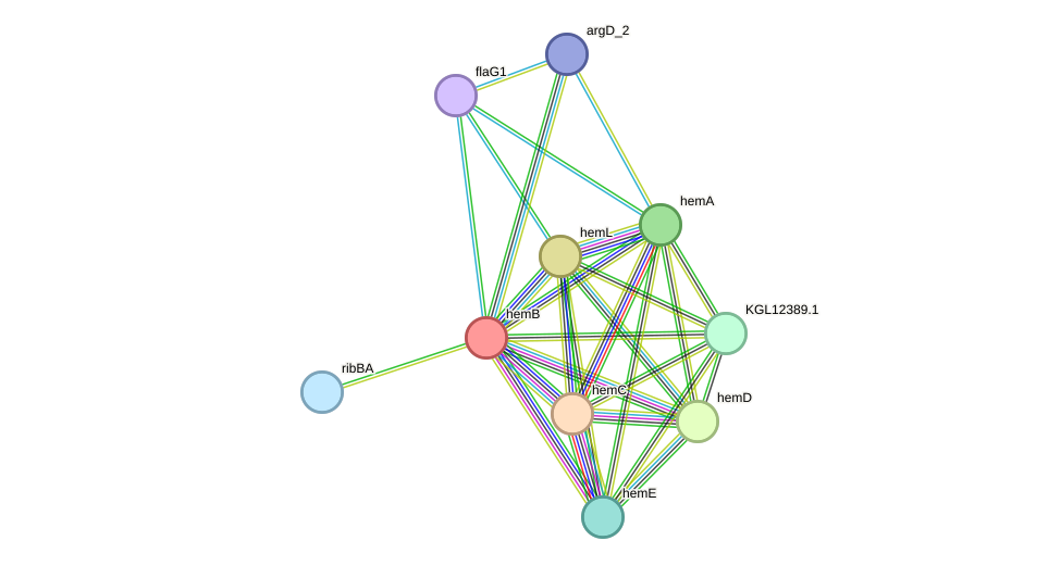 STRING protein interaction network