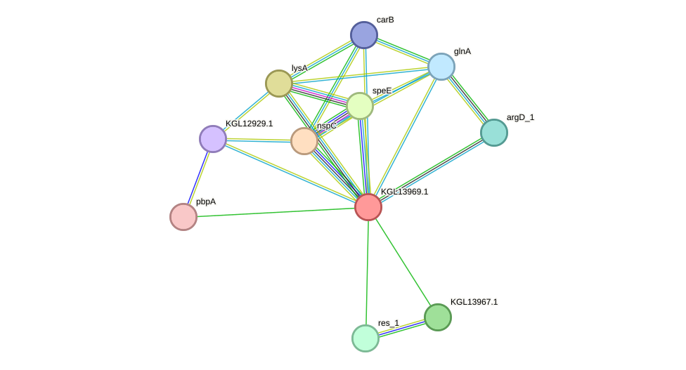 STRING protein interaction network