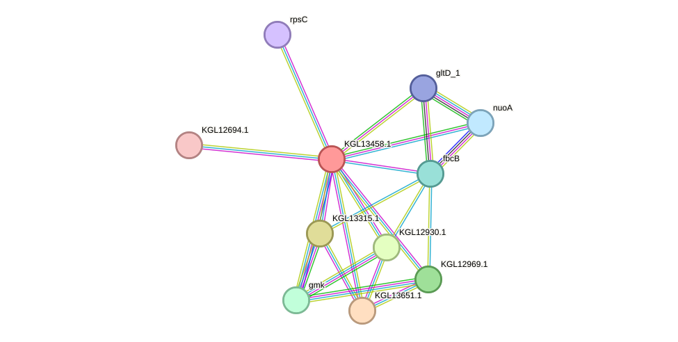 STRING protein interaction network