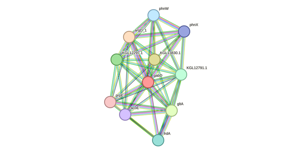 STRING protein interaction network