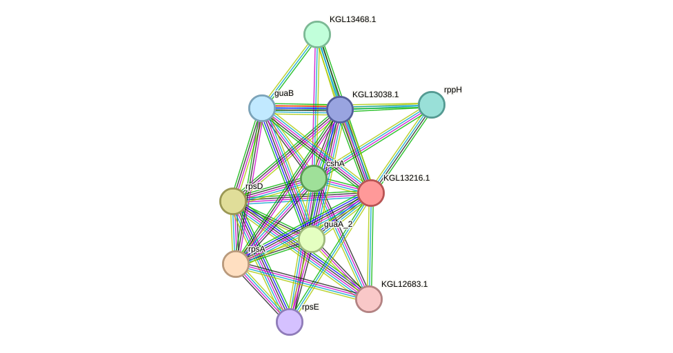 STRING protein interaction network