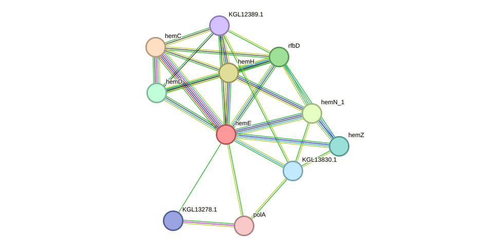 STRING protein interaction network