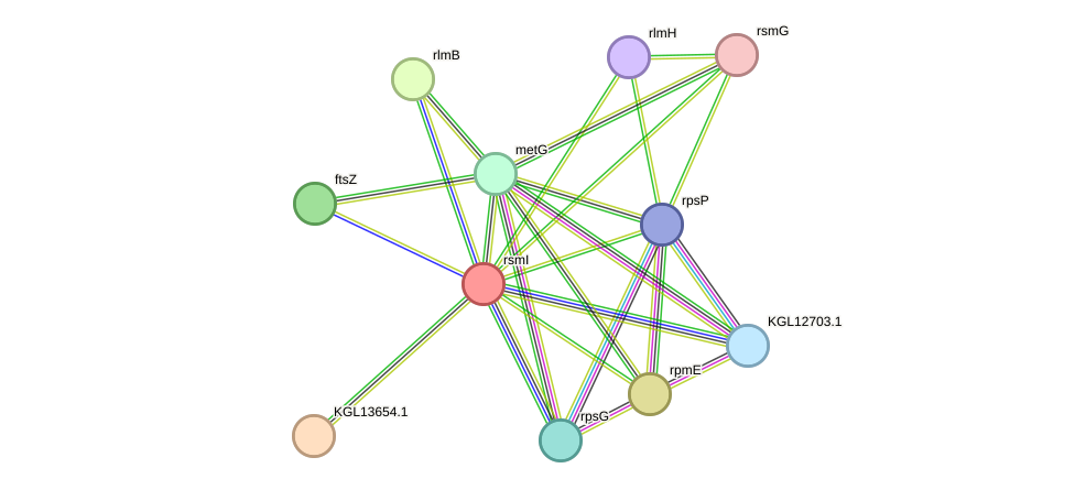 STRING protein interaction network