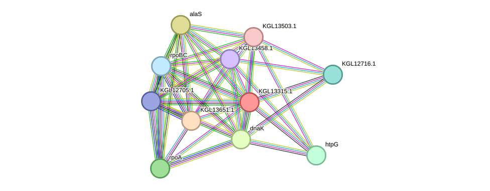 STRING protein interaction network