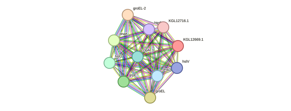 STRING protein interaction network