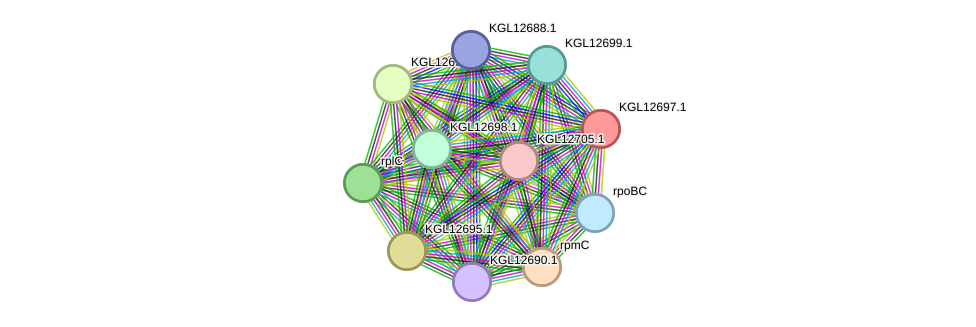 STRING protein interaction network