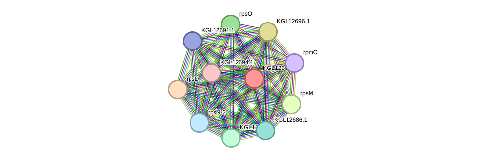 STRING protein interaction network