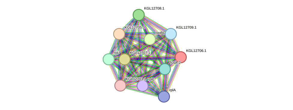 STRING protein interaction network