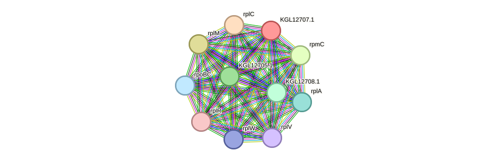 STRING protein interaction network