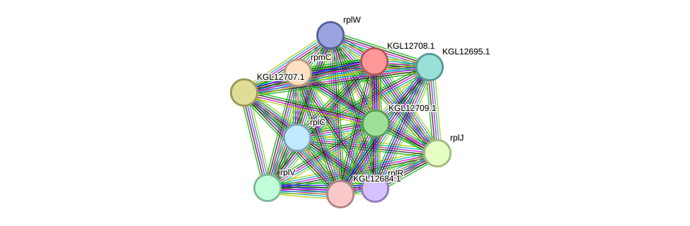 STRING protein interaction network