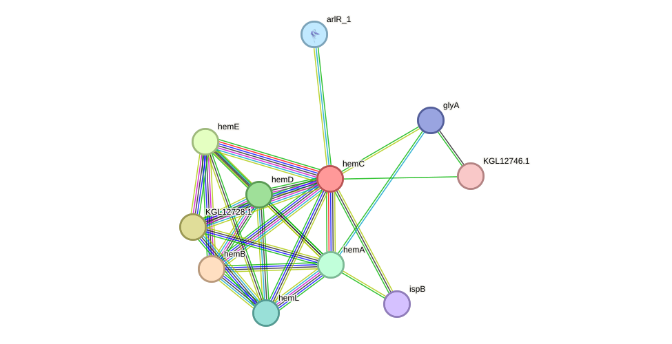 STRING protein interaction network