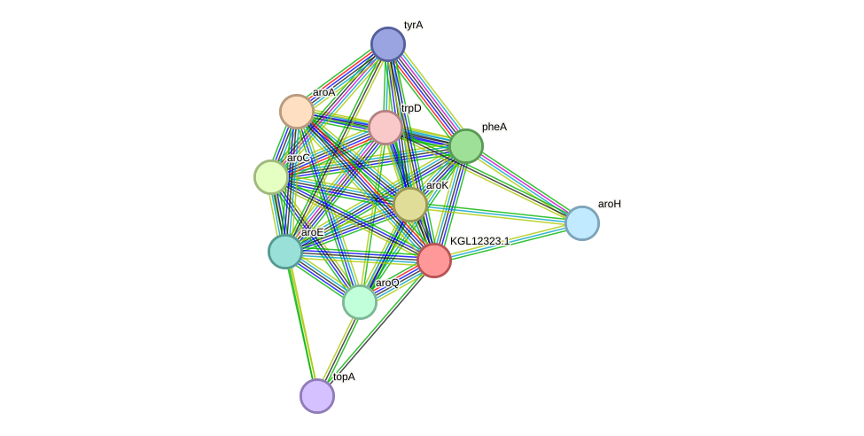 STRING protein interaction network