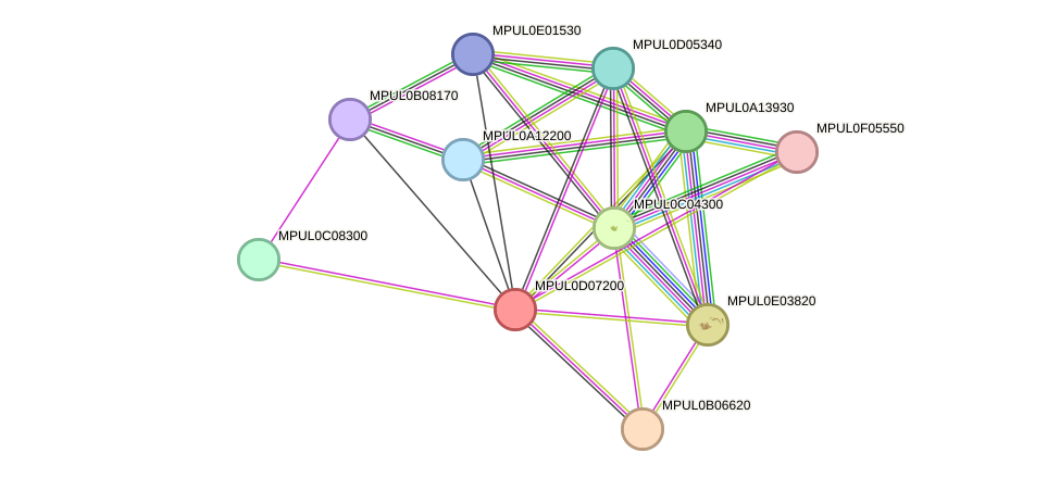 STRING protein interaction network