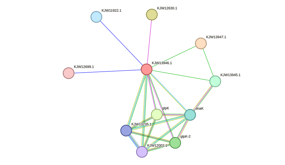 STRING protein interaction network