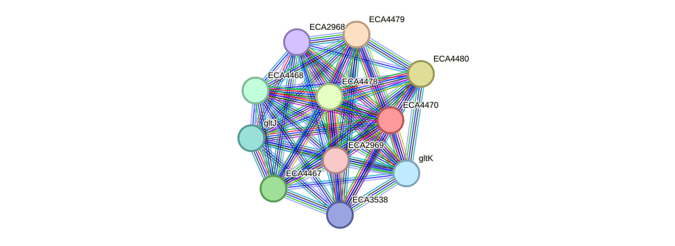 STRING protein interaction network