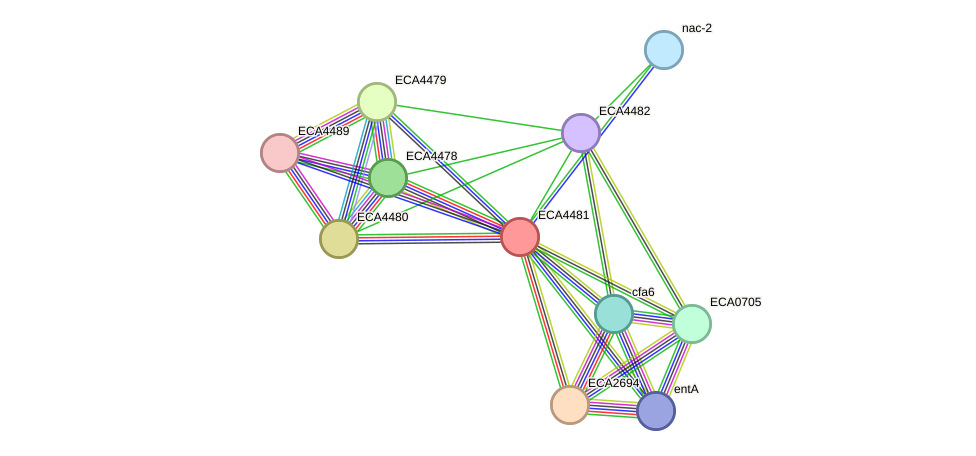 STRING protein interaction network