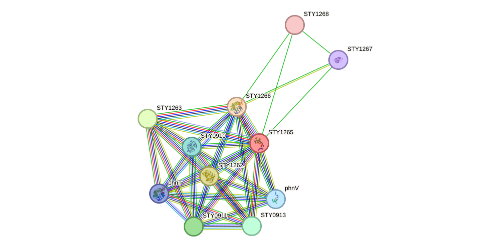 STRING protein interaction network