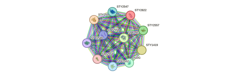 STRING protein interaction network