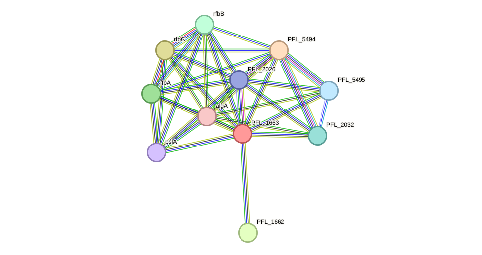 STRING protein interaction network