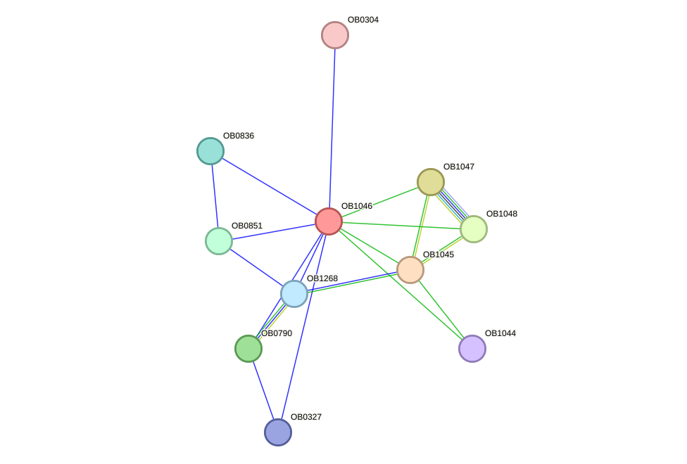 STRING protein interaction network