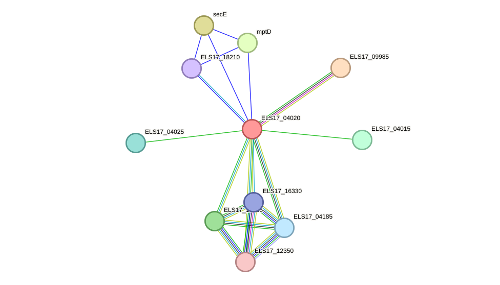 STRING protein interaction network