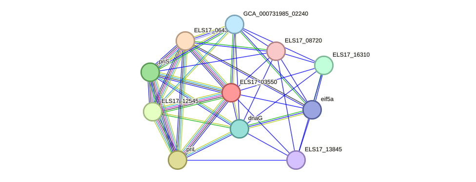 STRING protein interaction network