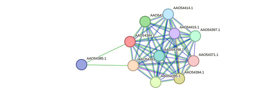 STRING protein interaction network