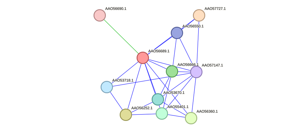 STRING protein interaction network