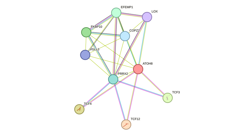 STRING protein interaction network