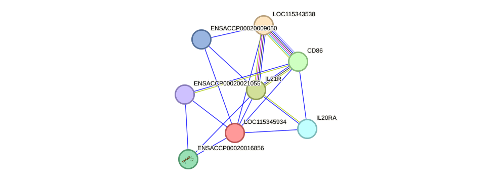 STRING protein interaction network