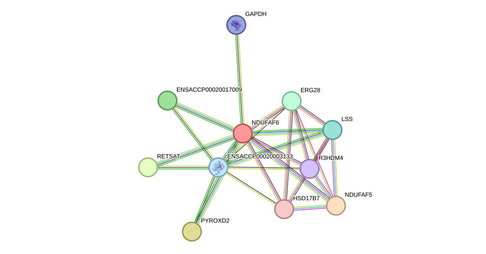 STRING protein interaction network