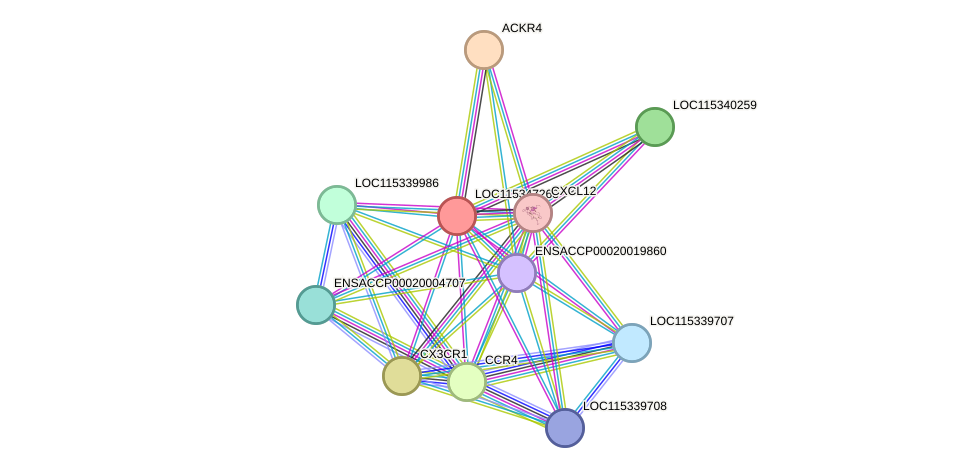 STRING protein interaction network