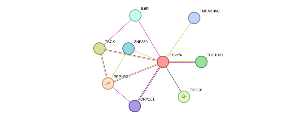 STRING protein interaction network