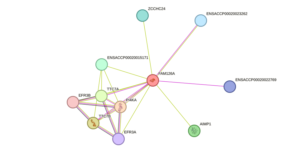 STRING protein interaction network