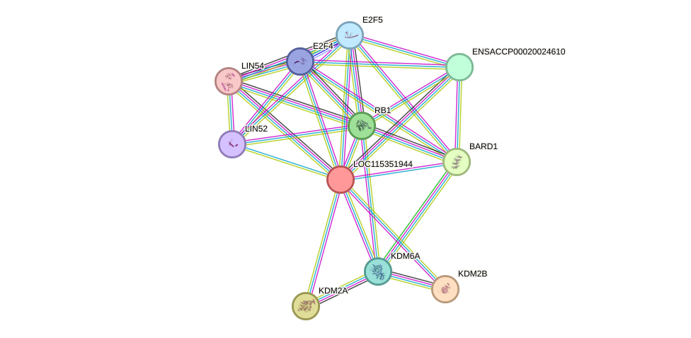 STRING protein interaction network