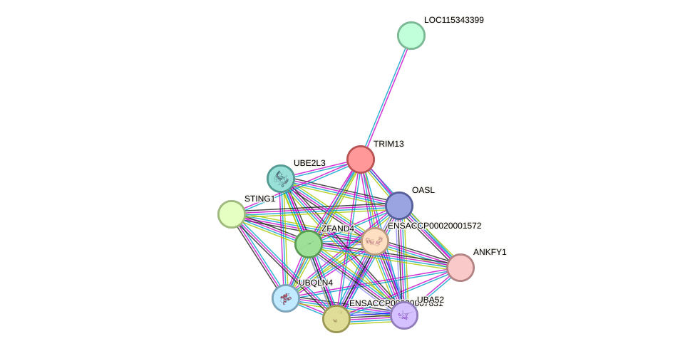 STRING protein interaction network