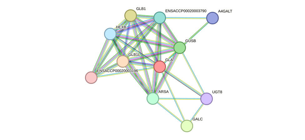 STRING protein interaction network