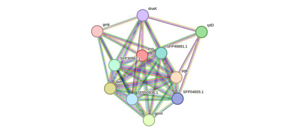 STRING protein interaction network