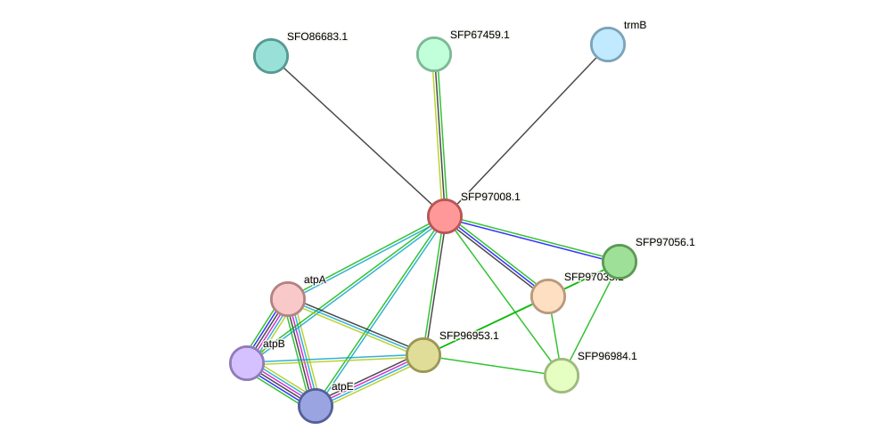 STRING protein interaction network