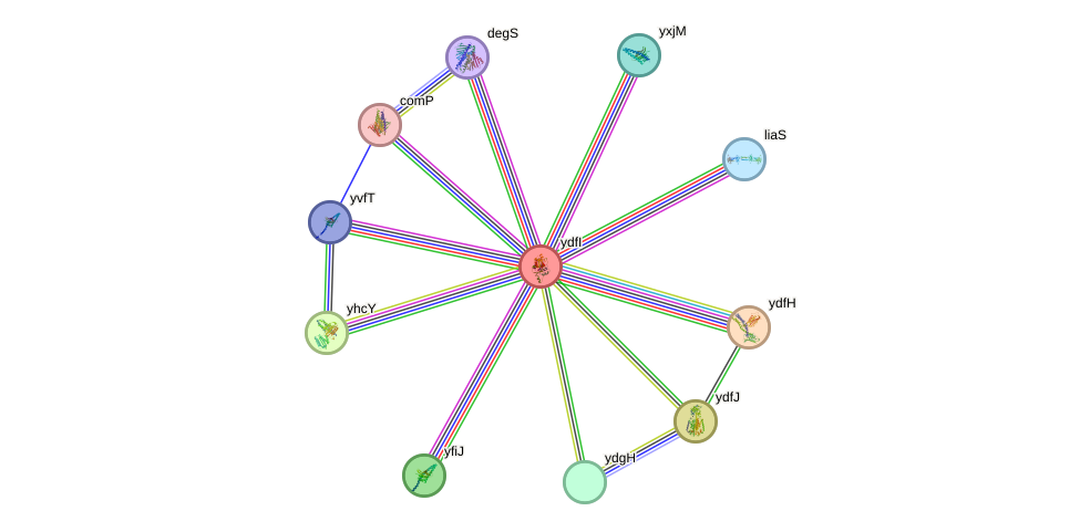 Ydfi Protein Bacillus Subtilis String Interaction Network