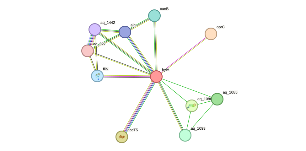 STRING protein interaction network